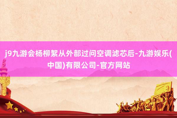 j9九游会杨柳絮从外部过问空调滤芯后-九游娱乐(中国)有限公司-官方网站